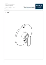 Grohe VERIS 19 353 Manual предпросмотр