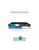 GROM Audio NetSpective User Manual preview