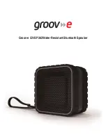 Groove GV-SP262 Manual предпросмотр