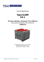 Group Four Transducers GLDM 64.1 Technical Manual preview