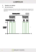 Preview for 22 page of Gruetzner LUBRICUS LUB-V User Manual