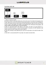 Preview for 31 page of Gruetzner LUBRICUS LUB-V User Manual