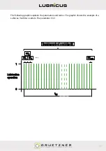 Preview for 49 page of Gruetzner LUBRICUS LUB-V User Manual