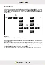 Preview for 51 page of Gruetzner LUBRICUS LUB-V User Manual