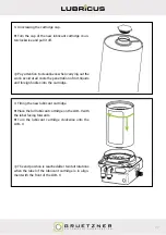 Preview for 79 page of Gruetzner LUBRICUS LUB-V User Manual