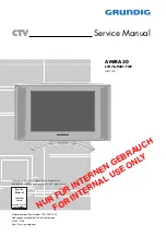 Grundig AMIRA 30 Service Manual preview