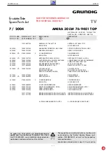 Preview for 24 page of Grundig AMIRA 30 Service Manual