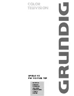 Grundig APOLLO 42 PW 110-7505 TOP User Manual preview