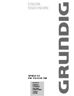 Grundig APOLLO 42 PW 110-7510 TOP User Manual preview