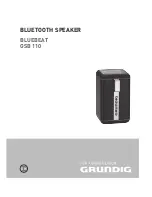 Grundig Bluebeat GSB 110 User Manual preview