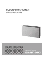 Preview for 1 page of Grundig BLUEBEAT GSB 500 User Manual