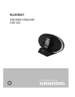 Preview for 1 page of Grundig BLUEBEAT GSD 320 User Manual