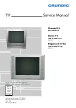 Grundig Chassis D5 Service Manual preview