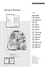 Grundig CUC 7303 Service Manual preview