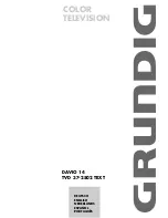 Предварительный просмотр 1 страницы Grundig DAVIO 14 TVD 37-2502 TEXT User Manual