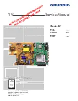 Preview for 1 page of Grundig davio GBF6300 Service Manual