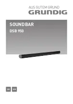 Grundig DSB 950 Manual preview