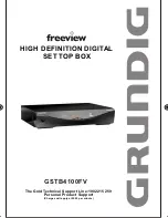 Grundig freeview GSTB4100FV Manual предпросмотр