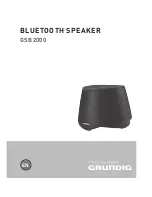 Grundig GSB 2000 User Manual предпросмотр