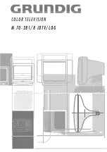 Grundig M 70-281/8 IDTV/LOG User Manual предпросмотр