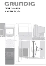 Preview for 1 page of Grundig M82-169 PALplus Manual