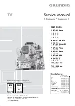 Grundig P 37 - 080 Supplemental Service Manual preview