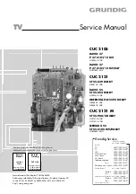 Grundig P 37-4101/12 MV Service Manual предпросмотр