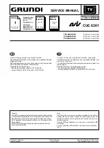 Grundig P 40-64/4 ASIS Service Manual preview