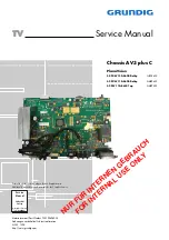 Grundig PlanaVision 42 PW 110-8610 TOP Service Manual preview