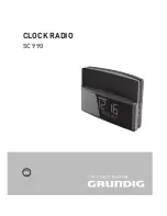 Grundig SC 990 Manual предпросмотр