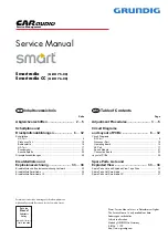Grundig Smartradio Service Manual preview