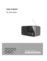 Grundig TR 2200 DAB Plus Manual предпросмотр