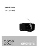 Grundig TR 2500 DAB+ Manual preview