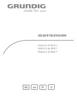 Grundig VISION 9 37-9870 T User Manual предпросмотр