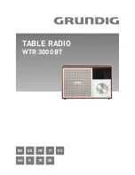 Grundig WTR 3000 BT Manual preview