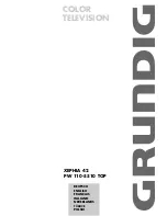 Preview for 1 page of Grundig XEPHIA 42 PW 110-5510 TOP User Manual