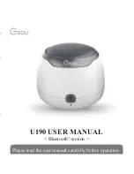 Gsou U190 User Manual preview