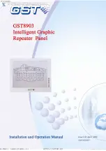 Preview for 1 page of GST 8903 Installation And Operation Manual