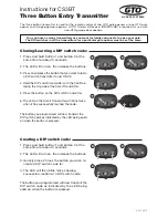 GTO CS3BT Instruction Manual preview