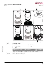 Предварительный просмотр 105 страницы GUDEL FlexxPump4 N Operating Manual