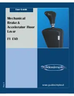 Guidosimplex F1 EVO User Manual предпросмотр