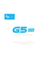 Guilin Feiyu Technology G5 GS User Manual предпросмотр