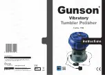 Gunson 77159 Instructions предпросмотр