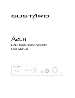 GUSTARD A20H User Manual предпросмотр