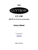 Предварительный просмотр 1 страницы Guytron Gt-100 Owner'S Manual