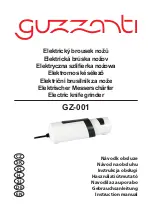 Guzzanti GZ-001 Instruction Manua preview