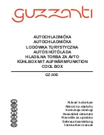 Guzzanti GZ-30B Instruction Manual preview