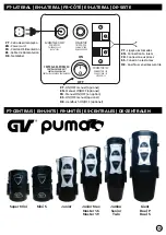 Preview for 15 page of GV Puma Dual P User Manual