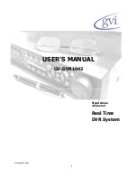 GVI Security GV-DVR1042 User Manual предпросмотр