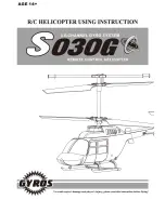 Gyros S030G Using Instructions preview